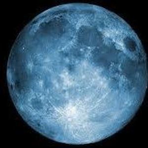 Meet your Posher, Torrent